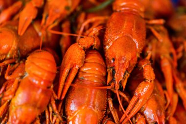 Arka kadar lezzetli kırmızı haşlanmış kerevit kapatmak