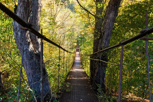 Estreito metal pé ponte através da floresta no outono — Fotografia de Stock