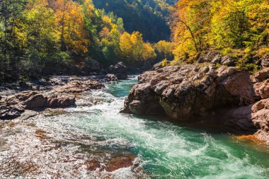 Sonbahar yatay, dağ nehir ve orman