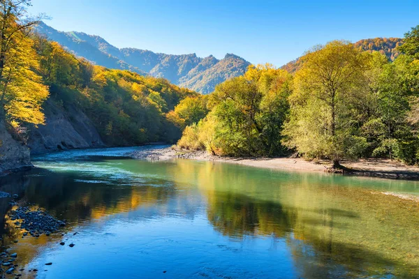 Осенний пейзаж с горной рекой и лесом — стоковое фото