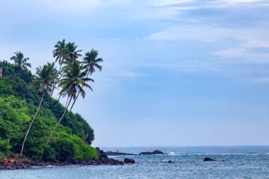 Güzel manzara tropik sahil Mirissa, Sri Lanka