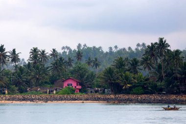 Güzel manzara tropik sahil Mirissa, Sri Lanka