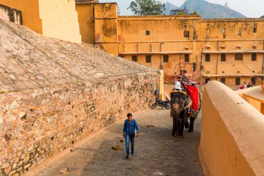Amber, Hindistan - 5 Kasım 2017: kimliği belirsiz kişi binmek filler Amber Fort