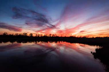 Contryside orman siluet ve göl ile güzel bir akşam peyzaj