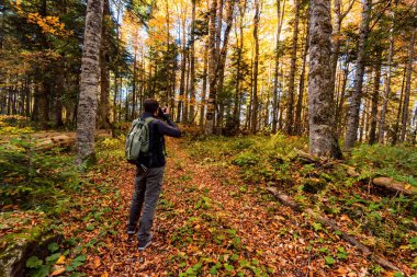 Parlak sonbahar ormanında arka plan erkek fotoğrafçı
