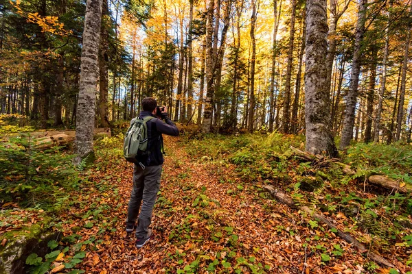 Parlak sonbahar ormanında arka plan erkek fotoğrafçı