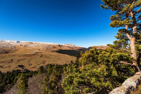 Landskap med träd i bergskog i höst — Stockfoto