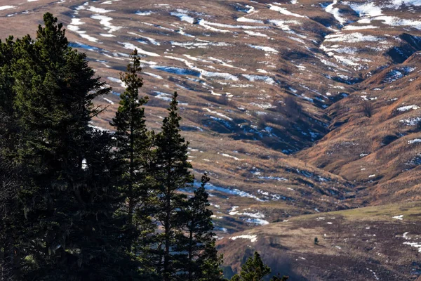 モミの木のある風景といくつか雪の秋に山の森林で — ストック写真