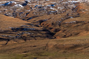 Yatay, çam ağaçları ve bazı dağ ormanında sonbahar aylarında kar