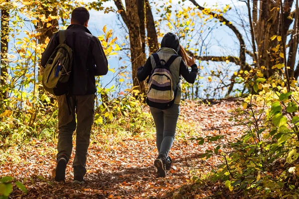 Arkadan görünüm iki yürüyüşçü sonbahar ormanda yürüyüş