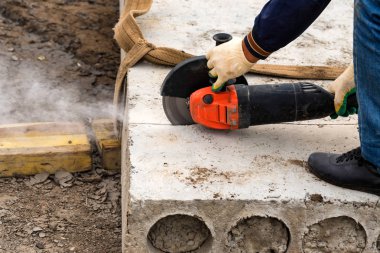 Benekli geyik veya eksen Milli Park Ranthambore