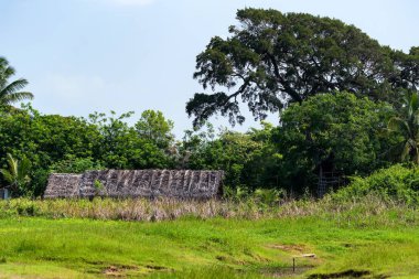Sri Lanka küçük kırsal köy kulübeleri