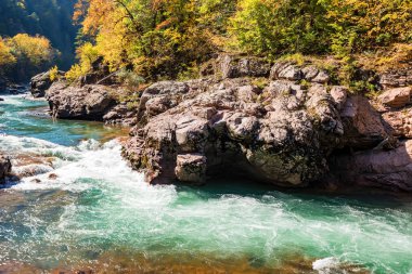 Sonbahar yatay, dağ nehir ve orman