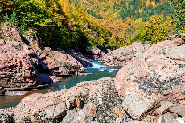 Прекрасний Осінній Пейзаж Гірською Річкою Лісом — стокове фото