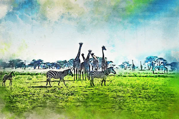 Aquarel van schilderachtige landschap van savanne — Stockfoto