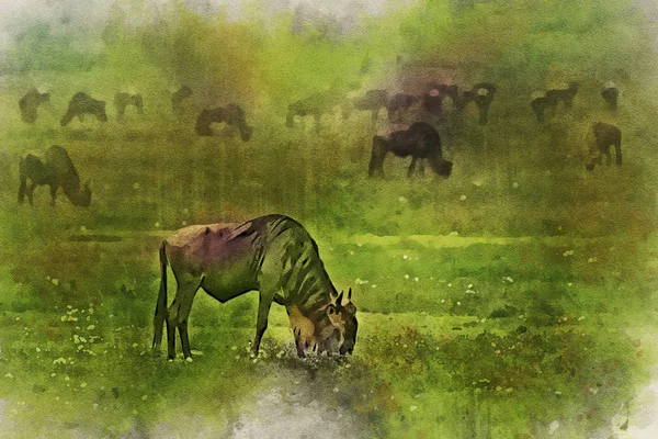 Flock gnuer är savanna akvarellmålning — Stockfoto