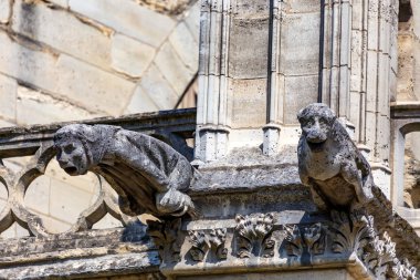 Gargoyles olarak taş şeytanlar ve chimeras Notre-Dame de Paris ayrıntılarını olarak