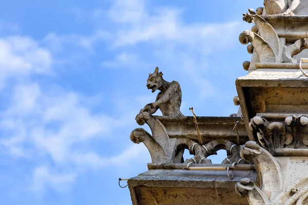 Hermosas gárgolas de Notre-Dame de Paris fachada — Foto de Stock