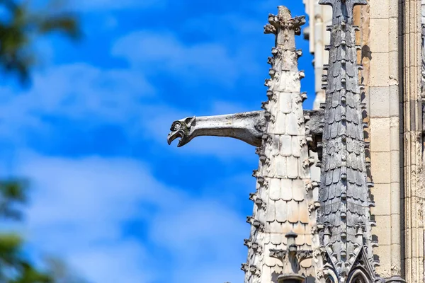 Beautiful Gargoyles of Notre-Dame de Paris facade — Stock Photo, Image