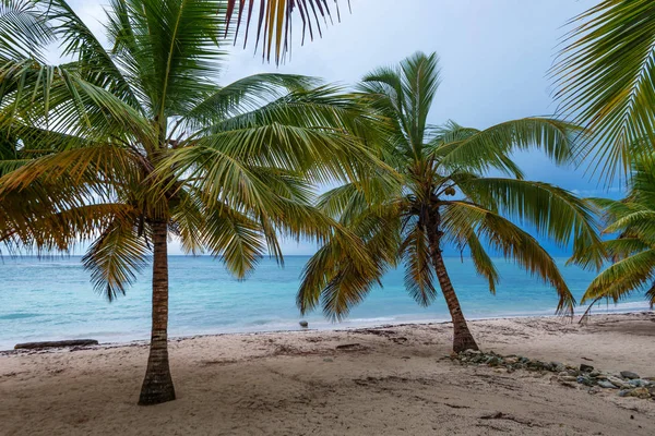 Praia tropical com palmeiras em Bahoruco, República Dominicana — Fotografia de Stock