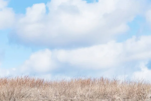 Paesaggio rurale russo con erba secca sotto bel cielo nuvoloso luminoso — Foto Stock