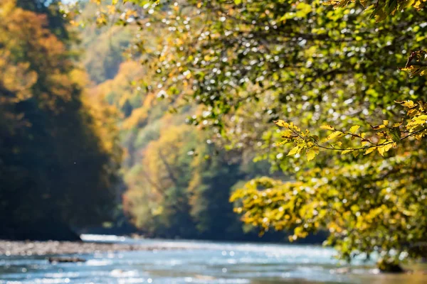 Őszi táj a hegyi folyó és erdő — Stock Fotó