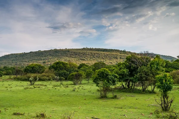 Belle vue sur la nature en savane par temps ensoleillé en Afrique — Photo