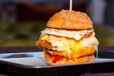 Uzun boylu lezzetli burger peynir ve yumurta tepside servis kapatın
