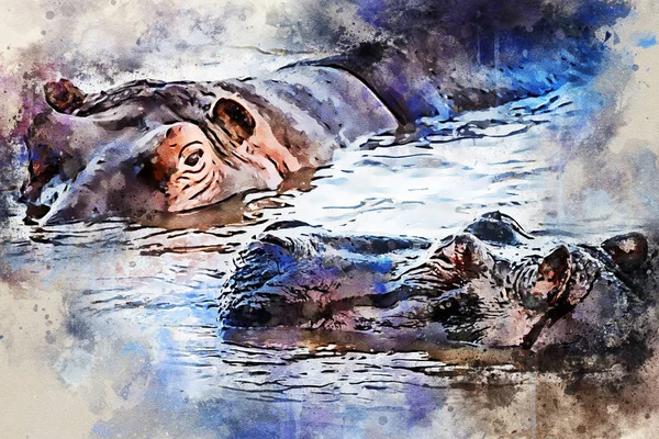 Akvarell målning av flodhäst eller Hippopotamus amphibius i vatten — Stockfoto