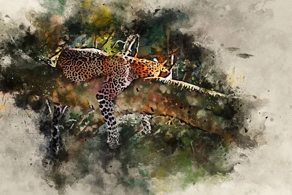 Pintura de acuarela de leopardo dormido en un árbol — Foto de Stock