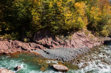 Sonbahar yatay, dağ nehir ve orman