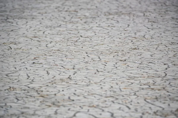 Superficie seca fangosa del suelo para textura de fondo — Foto de Stock