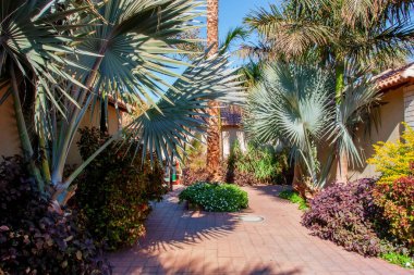 Tropik otelde palmiye ve villa manzarası. Egzotik tatil konsepti