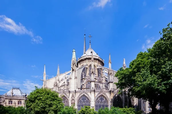 Spectacular view of Notre Dame facade in Paris on sunny day — Stock Photo, Image