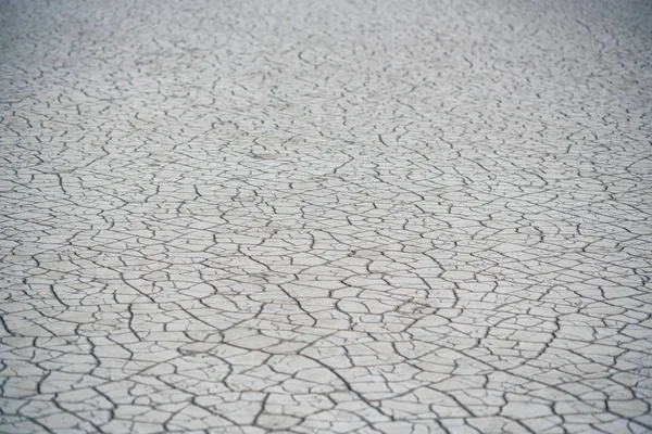 Superficie seca fangosa del suelo para textura de fondo — Foto de Stock