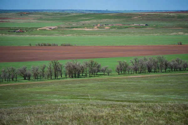 Bela paisagem pitoresca primavera com estepe verde — Fotografia de Stock