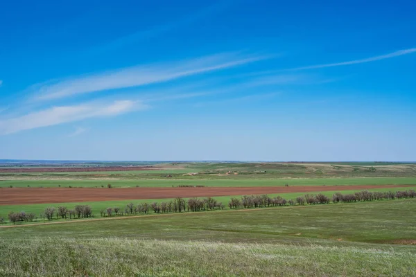 Beau paysage printanier pittoresque avec steppe verte — Photo
