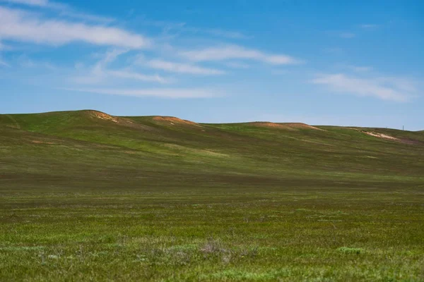 Beautiful picturesque spring landscape with green steppe and blue sky — Stock Photo, Image