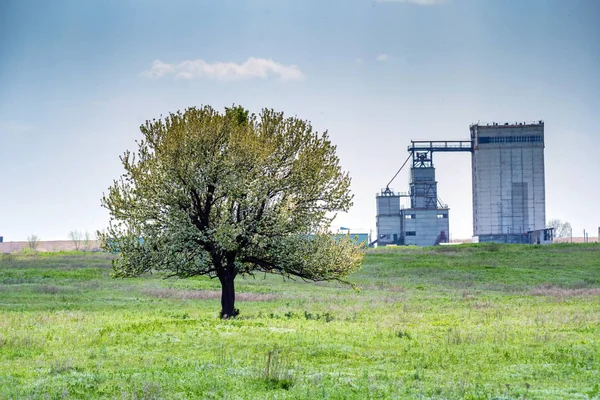 Elevador de grano blanco en la naturaleza estepa verde —  Fotos de Stock