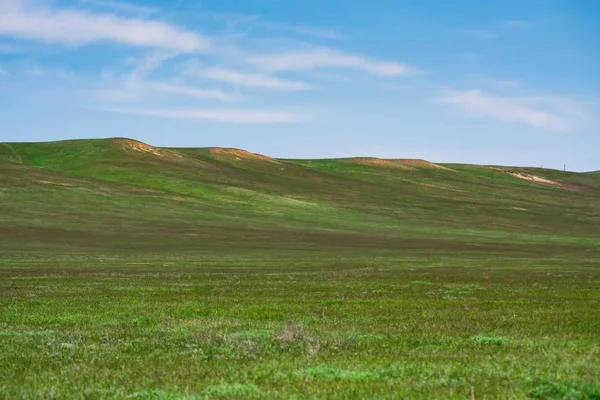 Beautiful picturesque spring landscape with green steppe and blue sky — Stock Photo, Image