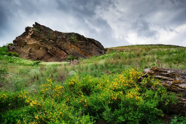 Caverne en pierre dans une steppe verte vue paysage avec ciel nuageux — Photo