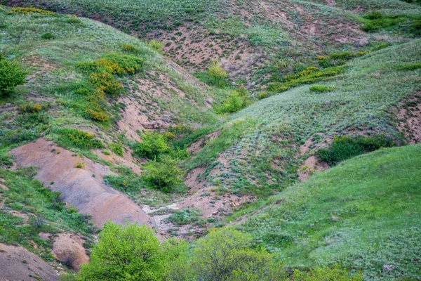 Bela vista da estepe e ravinas no verão — Fotografia de Stock