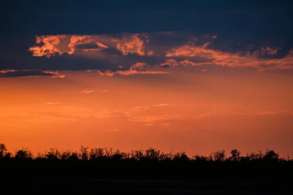 Силуэты рассвета с оранжевым драматическим небом — стоковое фото