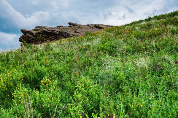 Stone cavern in green steppe landscape view with cloudy sky and steppe flowers in bloom — Stock Photo, Image