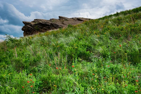 Caverna de pedra na vista verde da paisagem da estepe com céu nublado e flores de estepe — Fotografia de Stock