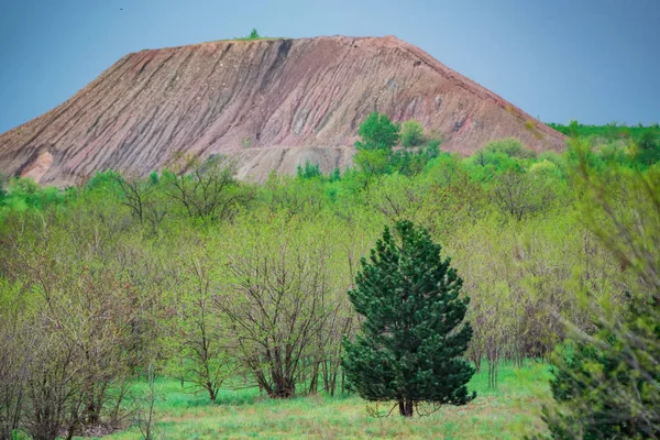 Vue de la pointe de butin dans la steppe verte — Photo