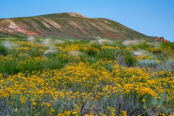 Paysage incroyable de la montagne Big Bogdo et steppe en fleurs contre le ciel. Russie — Photo