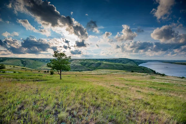Árbol solitario en la estepa de verano con el lago hermoso paisaje — Foto de Stock