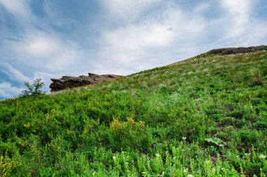 Bulutlu gökyüzü ve bozkır çiçekleri ile yeşil bozkır manzara görünümünde taş mağara