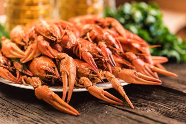 Ahşap arka plan üzerinde bira ile haşlanmış kerevit